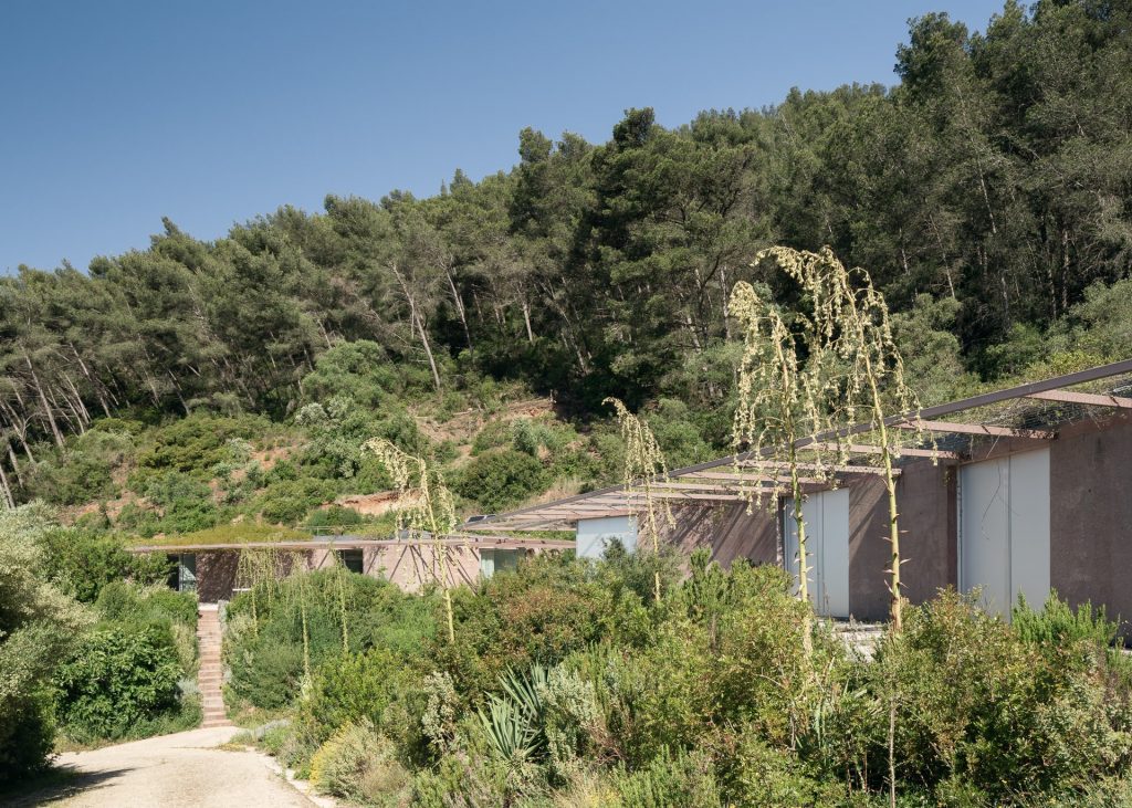Twin Houses Garden