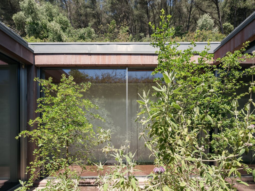 Twin Houses Garden