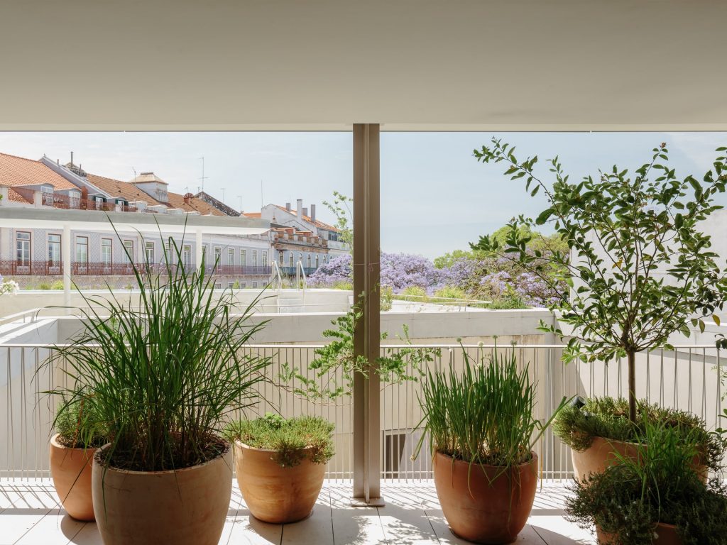 Terraço em Santos I