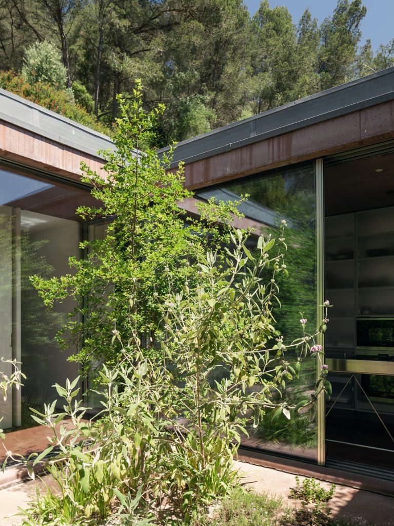 Twin Houses Garden