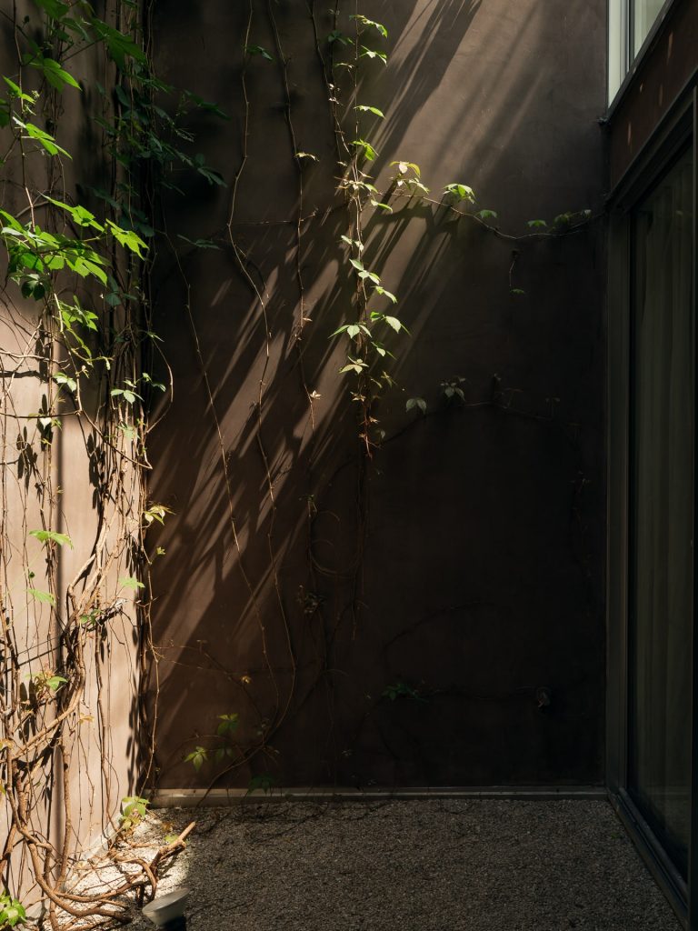 Twin Houses Garden