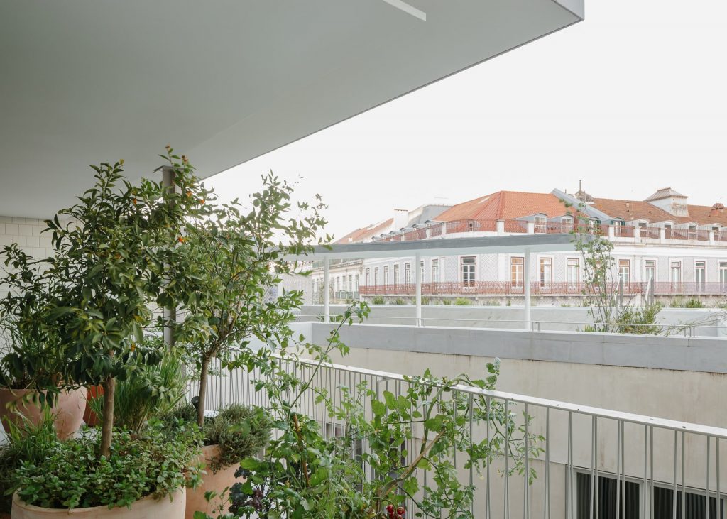 Terraço em Santos I