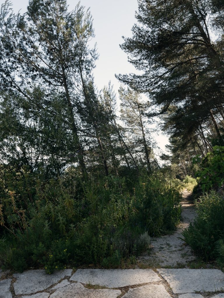 Twin Houses Garden