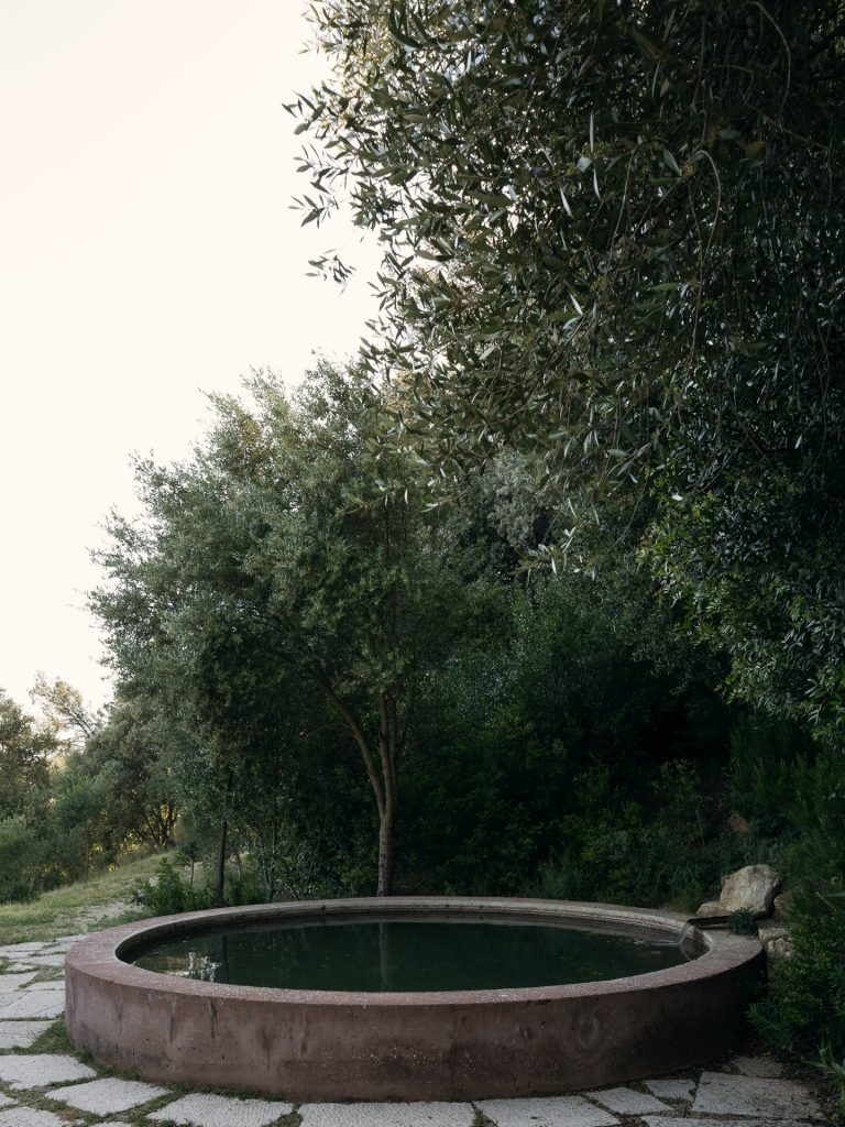 Twin Houses Garden