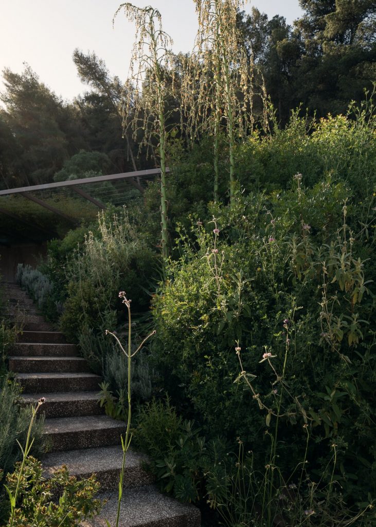 Twin Houses Garden