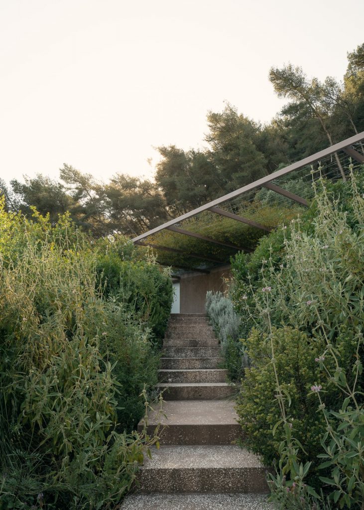 Twin Houses Garden