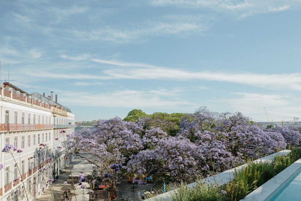 Terraço de Santos I