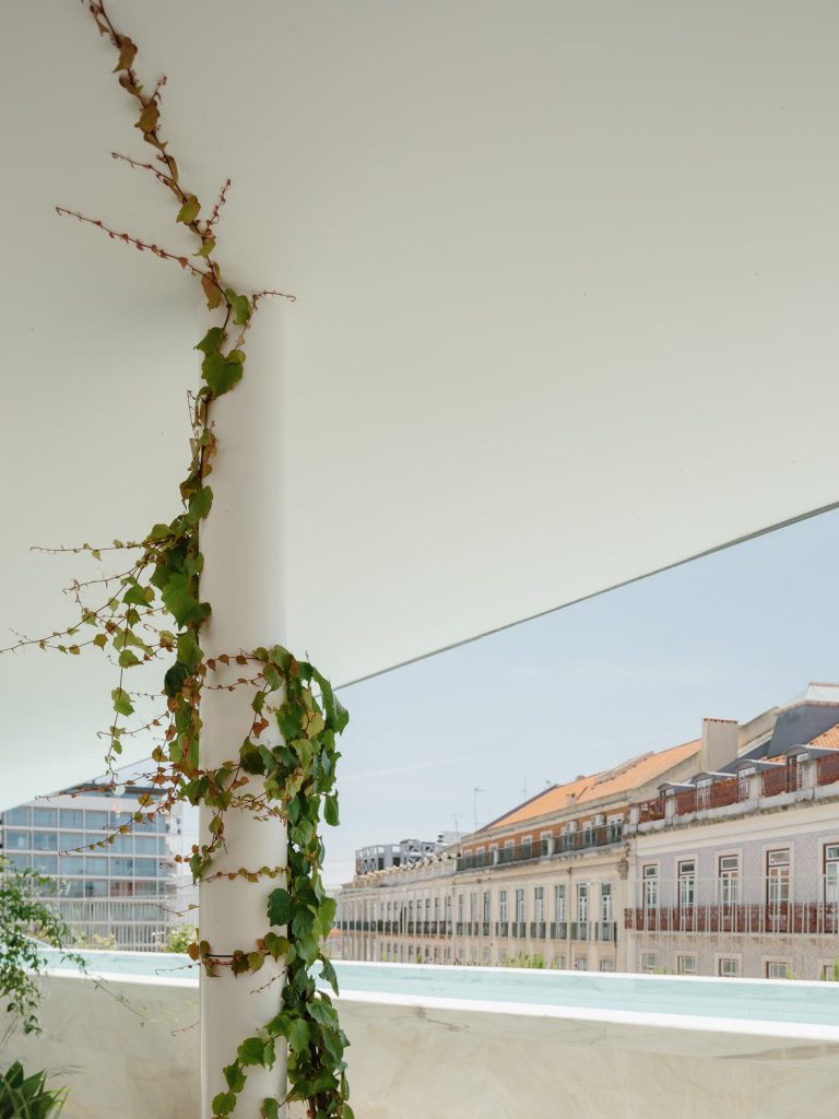 Terraço em Santos II