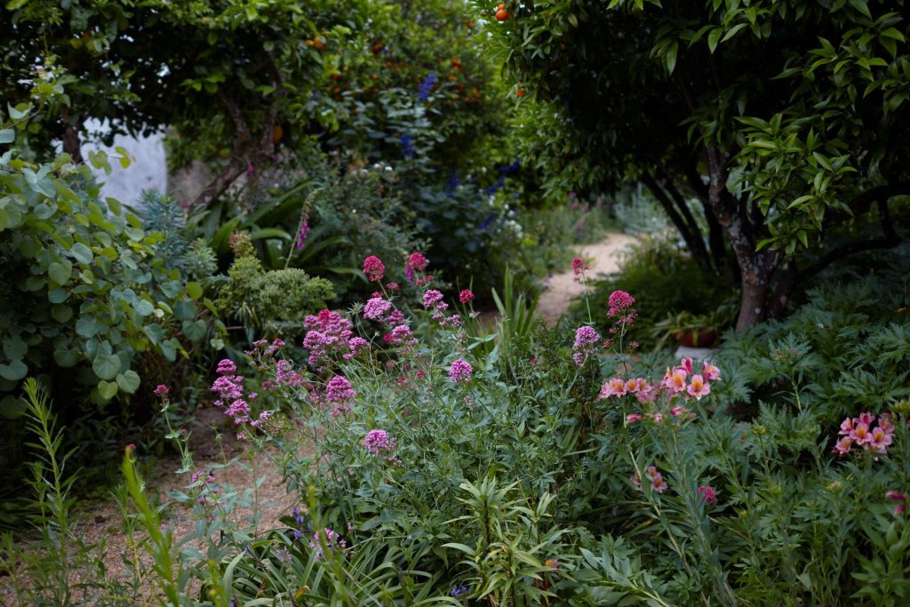 Red House Garden