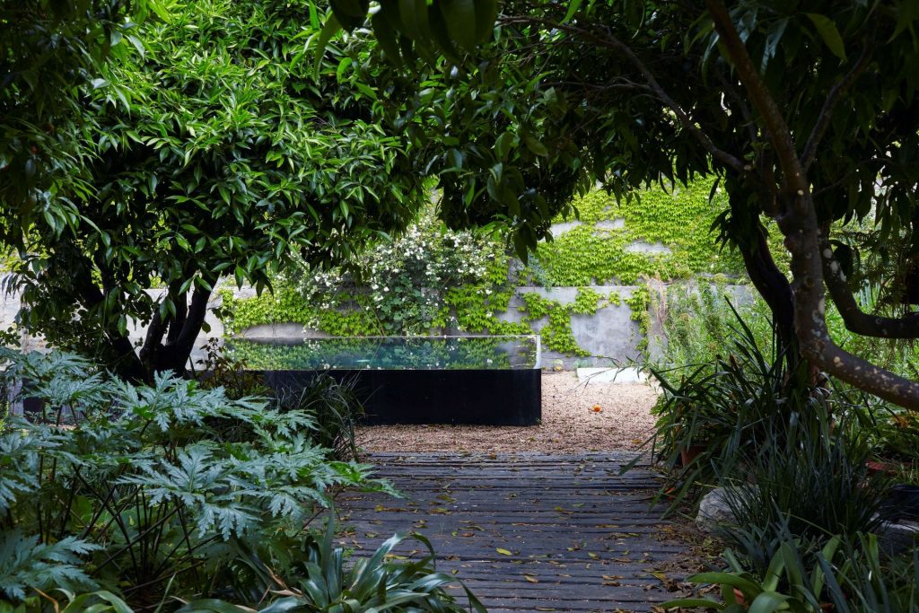 CRed House Garden