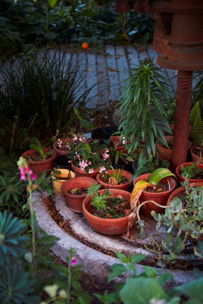 Red House Garden